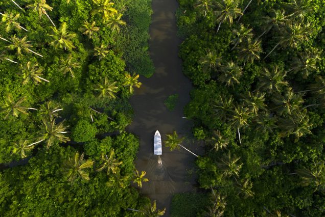 Kerala Tour for Students | Explore Nature, Culture & Science